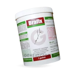 Buying_Brafix_online